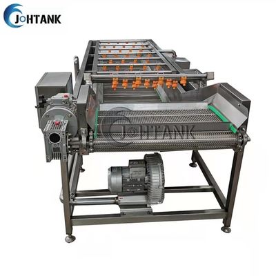 টমেটো সালাদের জন্য শিল্প স্বয়ংক্রিয় সবজি এবং ফল ধোয়ার ক্লিনিং মেশিন